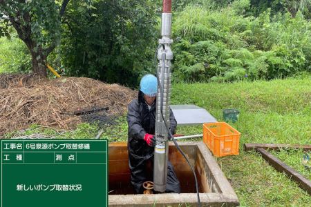 no6pump-replacement-c.jpg